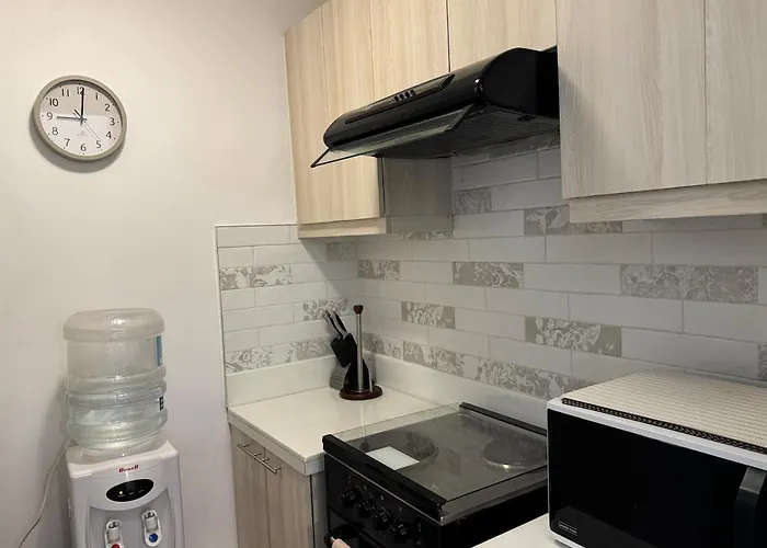 Apartment Ayala Center With Amenities Cebu
